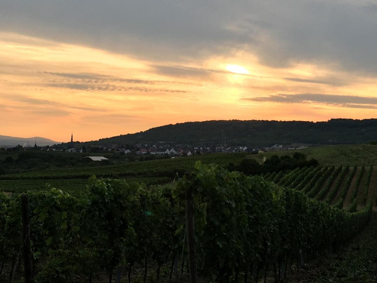Ferienwohnungen In De Goldisch Luft Gau-Algesheim Exteriör bild